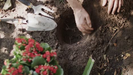 Close-up-of-senior-caucasian-woman-digging-hole-for-plant-with-hands-in-garden,-slow-motion