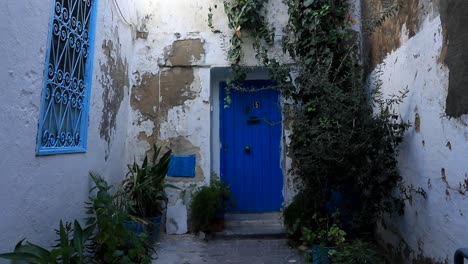 blue door entrance in narrow grungy whitetunisian courtyard with green plants pan down