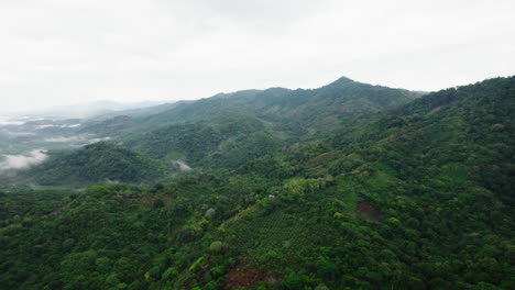 Vista-Panorámica-Aérea-Del-Paisaje