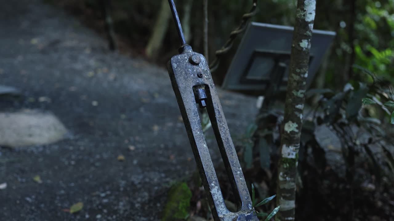 하천과 잎자루가 있는 숲길