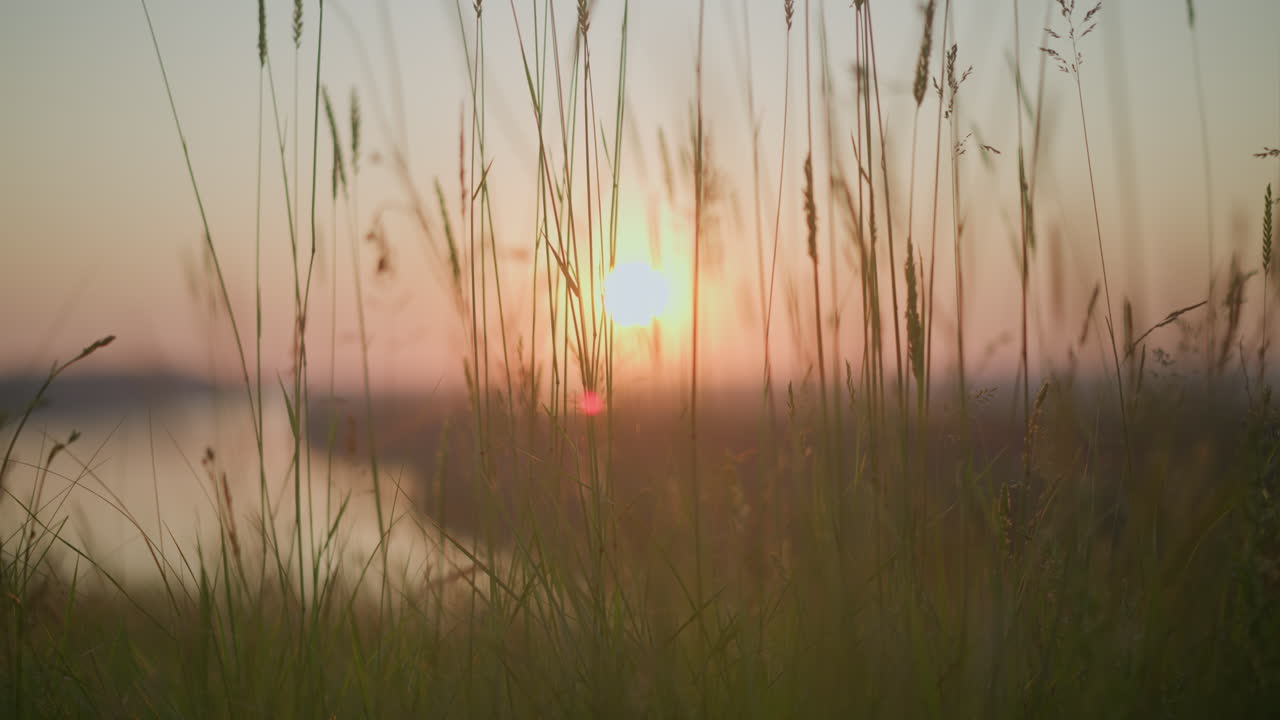 escena pacífica capturando hierbas altas balanceándose suavemente en la luz cálida del sol poniente, con un lago sereno en el fondo, creando una atmósfera tranquila y tranquilizadora en la naturaleza durante la noche