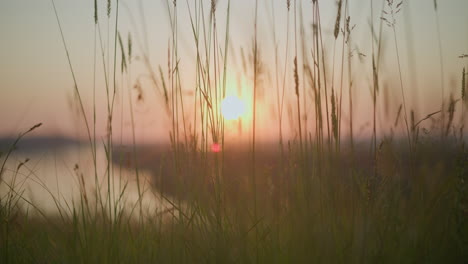 peaceful scene capturing tall grasses gently swaying in the warm light of the setting sun, with a serene lake in the background, creating a tranquil and calming atmosphere in nature during the evening