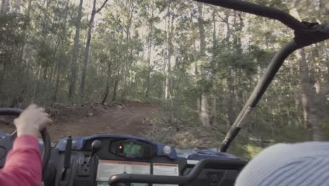 buggy racing through a dense forest with passengers holding on tight