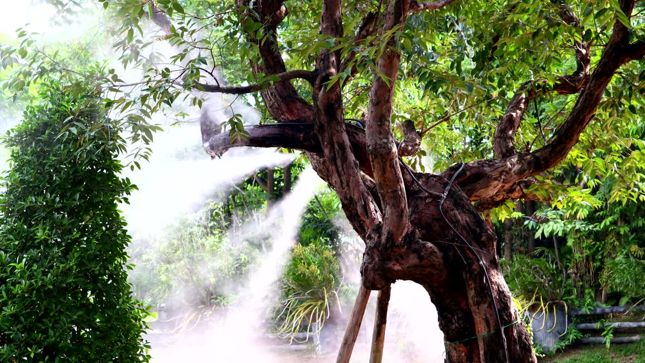꽃 정원에서 식물 물을 공급하기 위해 나무에 안개 물 또는 안개 스프레이 노즐 설정