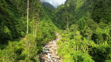 flying over a river in the rainforest in good light