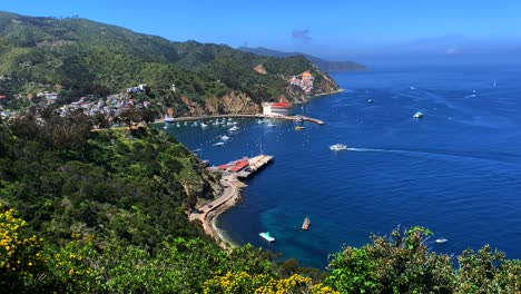 4k 60p, wide view of avalon bay on catalina island, california