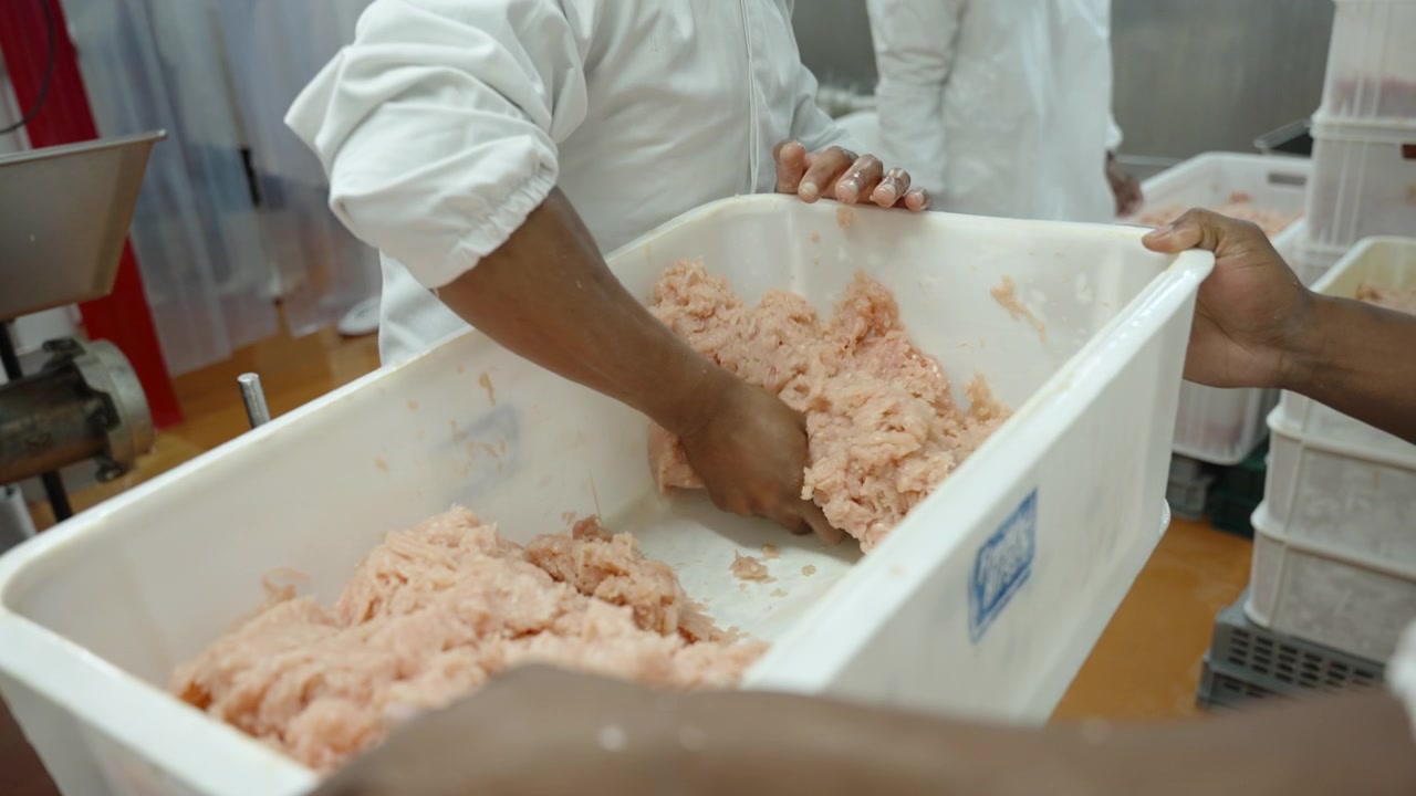 Workers transfer raw ground meat mixture by hand from a large plastic trough on a clean factory floor.