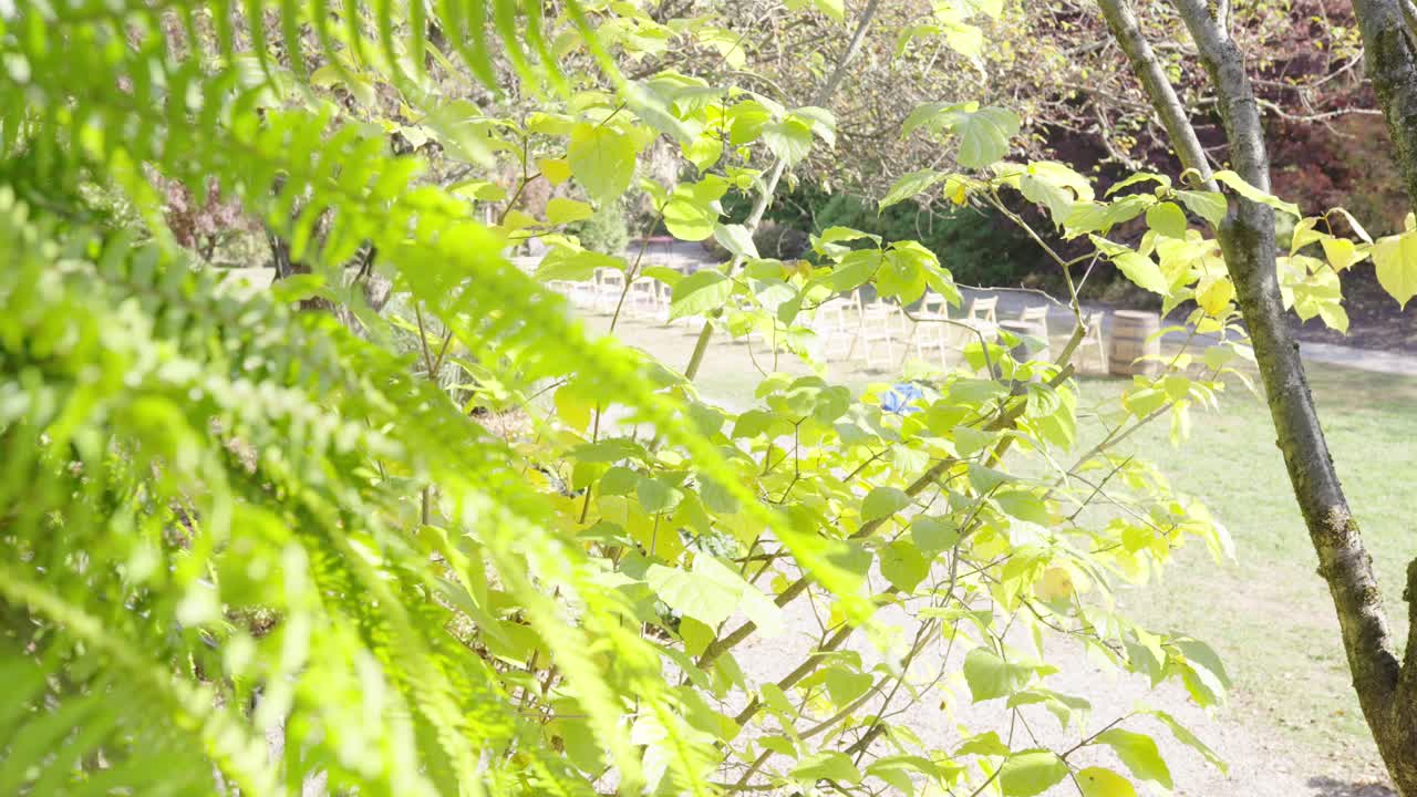 결혼식 의자 에 천천히  ⁇