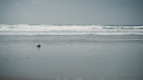 Olas-De-Playa-De-La-Costa-De-Oregon