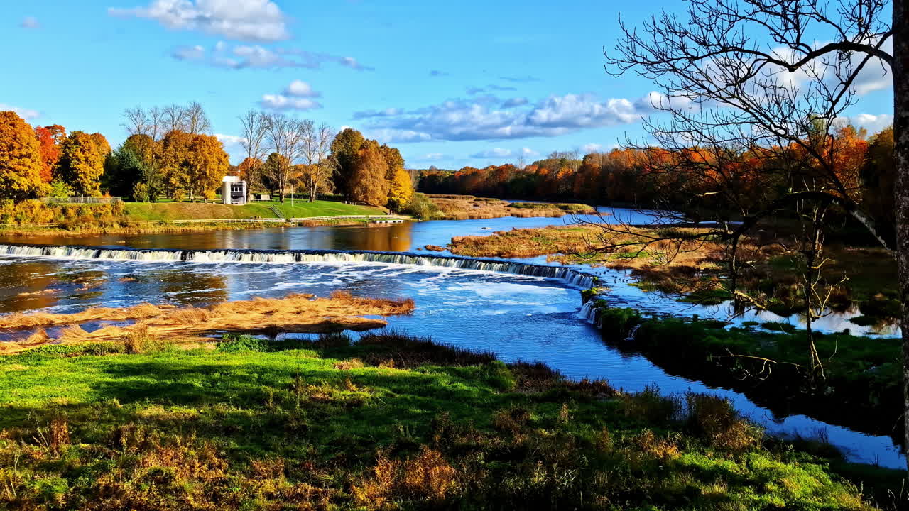 Serene landscape of dense forest with stream of water flowing under clear blue sky during fall