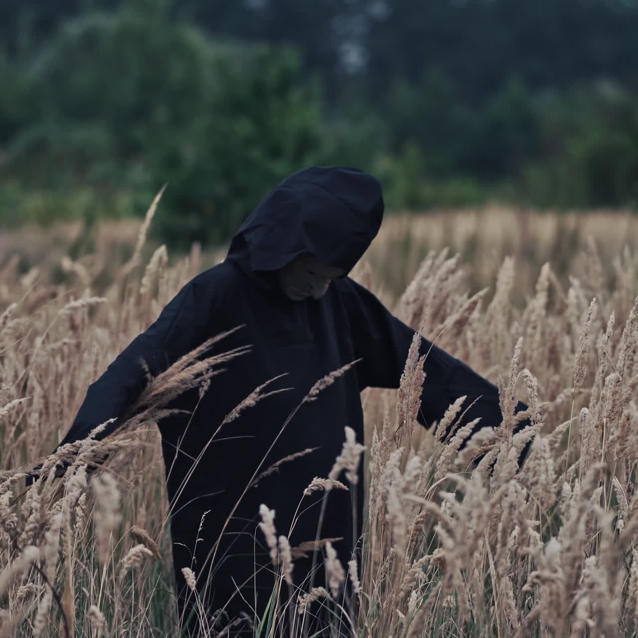 Scary black figure on a wheat field. Terrible ghost in dark mantle with hood looking at camera and turning around on nature evening background. Horror concept.
