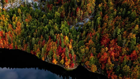 Toma-Aérea-De-Seguimiento-Frente-A-La-Ladera-De-La-Montaña,-árboles-De-Colores-Otoñales-En-Un-Lago-Alpino