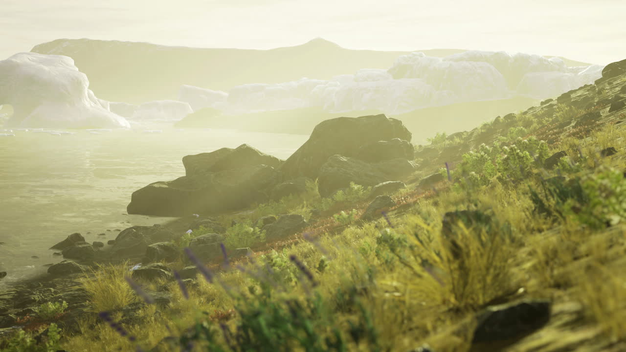 Serene landscape with rocks and vegetation near calm water at sunrise