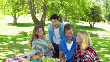 Amigos-En-El-Parque-Haciendo-Barbacoa