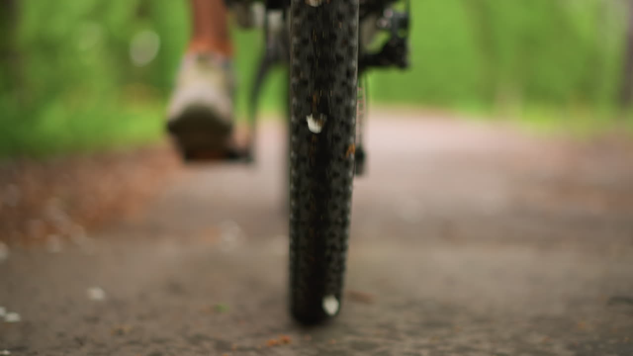 Cycling Through Nature, Bicycle Moves Along Scenic Trail, Rider Pedals Across Woodland Forest Path In Sunlight, Bike Wheel Rotates As Cyclist Traverses Lush Forest Trail During Summer Days