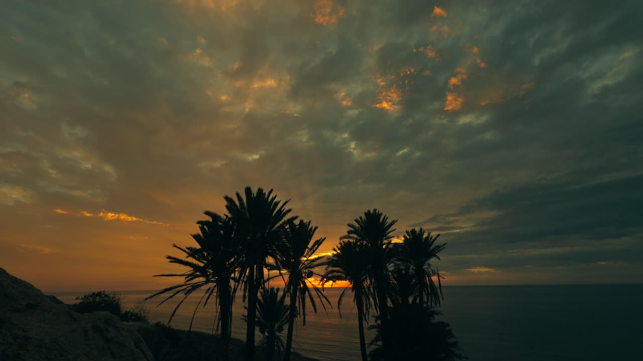Sunset over the coast with palm trees