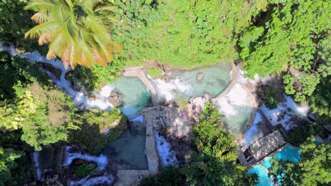 top shot of natural pool at villa miriam, caribbean jungle