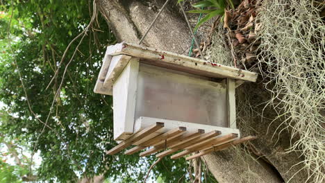 Una-Caja-De-Pájaros-Vacía-Que-Se-Balancea-Suavemente-Con-La-Brisa-Mientras-Cuelga-De-Un-árbol-En-Un-Hermoso-Día