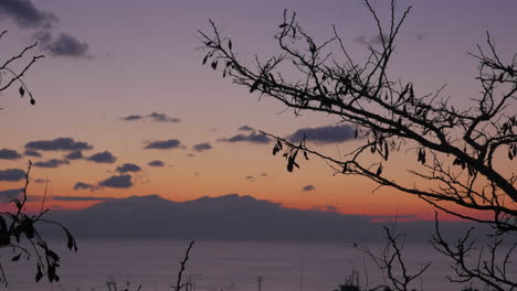 timelapse in nea kallikratia greece at sunset seen branch of tree sea beautiful clouds and mountain of olympus