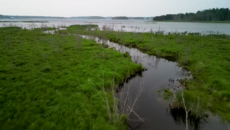 aerial view of small inlet and grass in wind on coast of lake huron, michigan