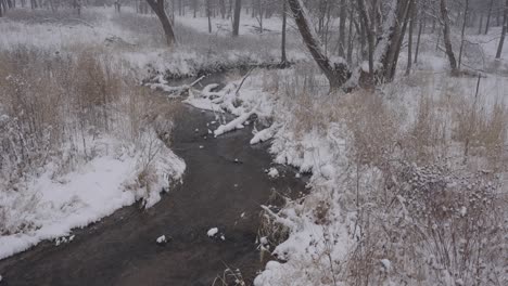 winter creek flowing through a snowy minnesota landscape, evoking calm and solitude