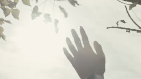 mano cercana tocando la luz del sol sosteniendo el sol