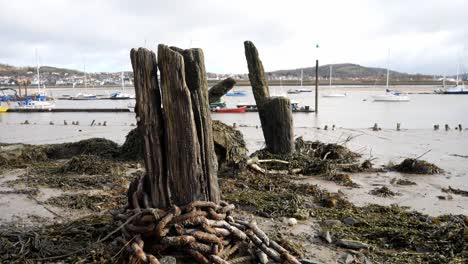 rotten derelict old pier wood wreck on conwy harbour shoreline