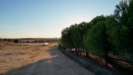 aerial view of a stunning natural landscape in monsaraz, portugal, captured during the golden hour.