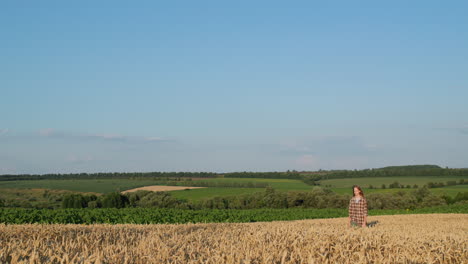 ein mädchen mit langen haaren geht entlang eines weizenfeldes in einer malerischen landschaft