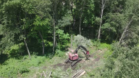 Vollautomatische-Maschinen,-Die-Gefällte-Bäume-Nach-Der-Abholzung-Im-Wald-Entfernen