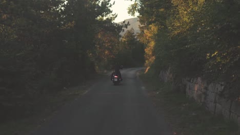 motociclista en un camino de bosque sinuoso al atardecer