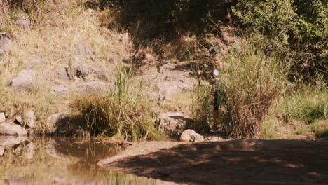 mujer corriendo en el campo