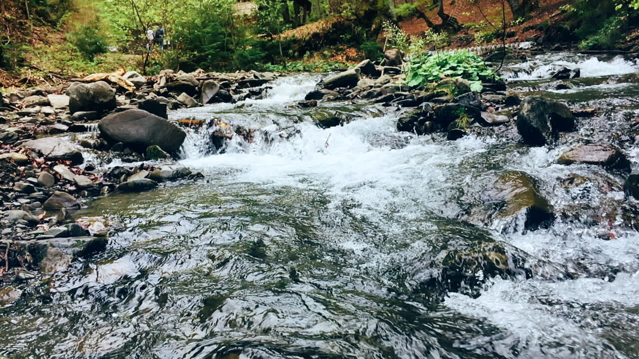Crystal mountain river in deep forest. Slow mo foaming water stream