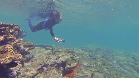 free diver photographing a school of fish underwater at bartolome island in galapagos national park ecuador