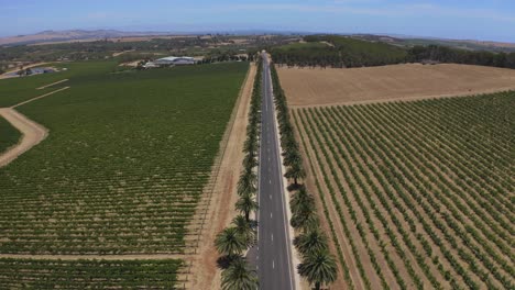 Vista-Aérea-Por-Drones-De-La-Carretera-Seppeltsfiled,-Australia-Del-Sur