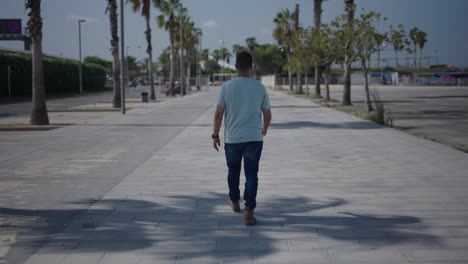 man walking down a city street lined with palm trees