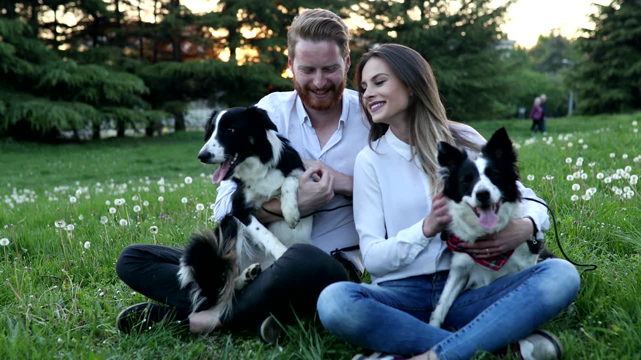 hermosa pareja acurrucada y paseando perros al aire libre