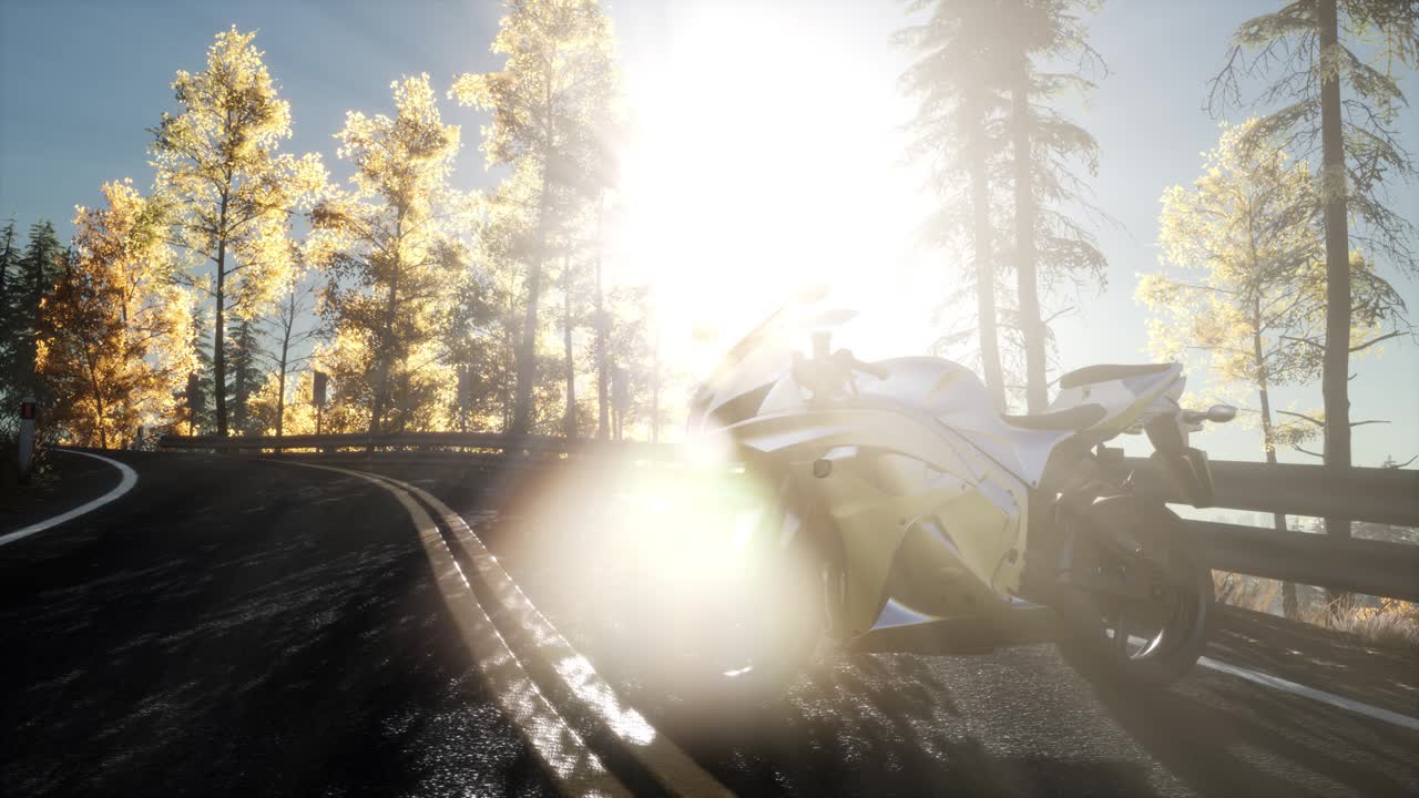 ⁇ 빛으로 숲 속의 세 개의 도로에 있는 스포츠 자전거