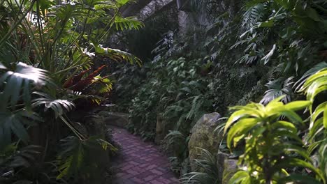 a scene inside of a botanical garden in south korea (shoot info: cin2, 1080p, 23.97fps slowmotion from 59.94fps)