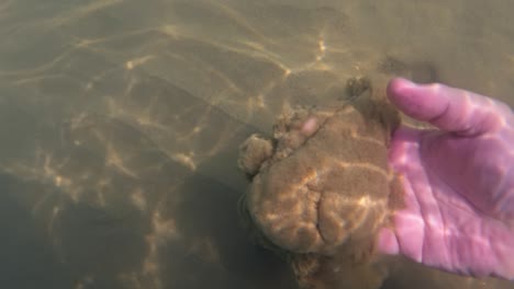 Mano-De-Hombre-Levanta-Nube-De-Arena-Del-Lecho-Marino,-Cámara-Lenta-Bajo-El-Agua