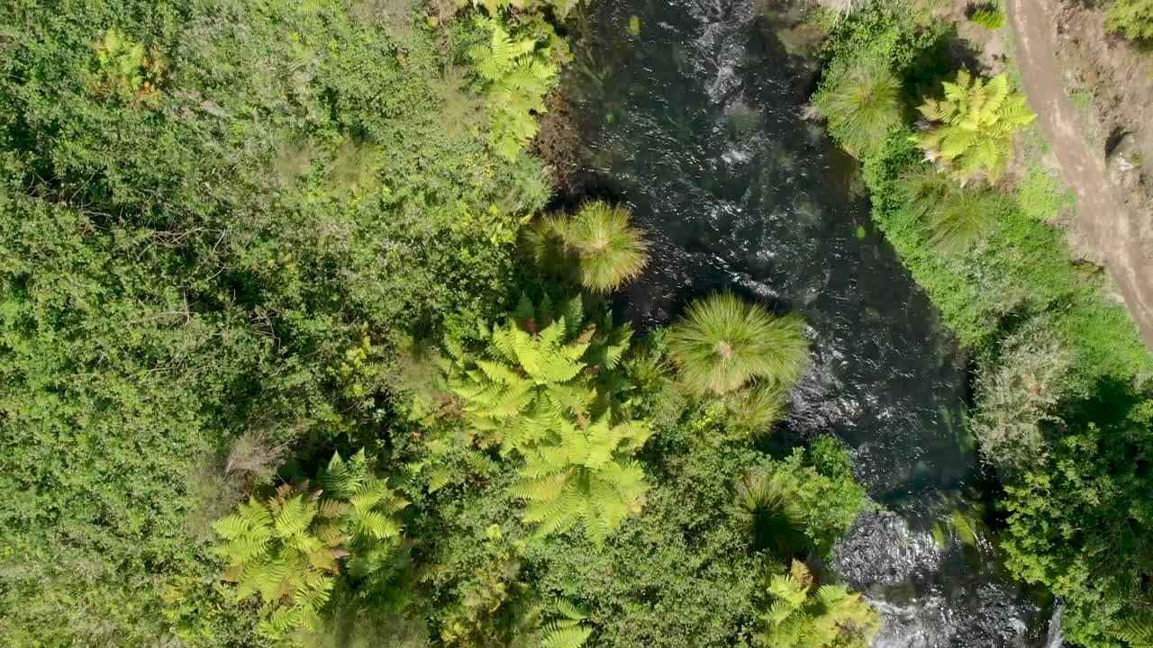 vista aérea de arriba hacia abajo del río de agua dulce limpia que fluye en el bosque nativo, nueva zelanda