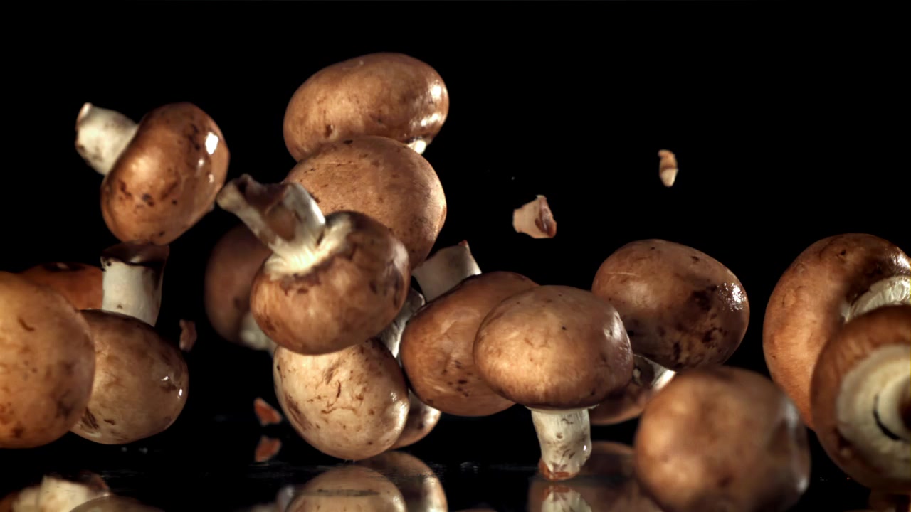 Friske brune champignoner falder i slowmotion på sort baggrund