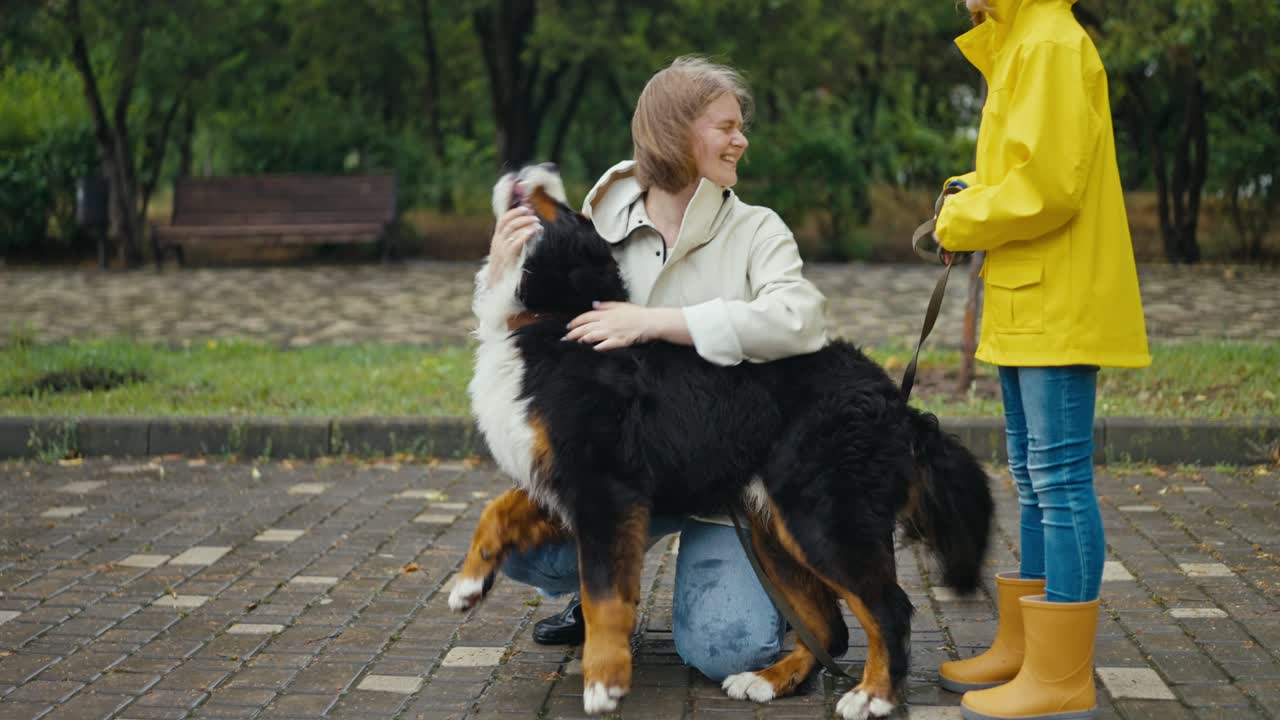 feliz mujer rubia en una chaqueta juega con su perro blanco y negro junto con su hija en una chaquera amarilla en un callejón en el parque después de la lluvia
