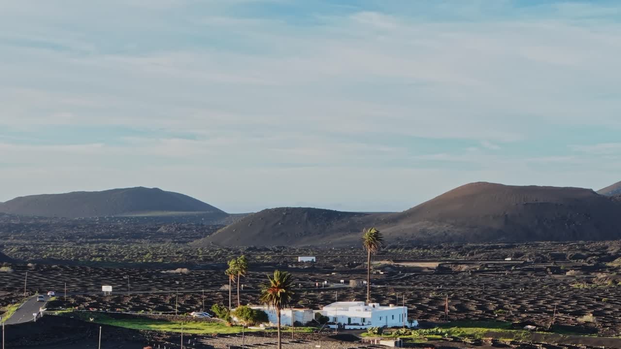 Vigneti crescono su suolo vulcanico a Lanzarote, Spagna, tra le colline.