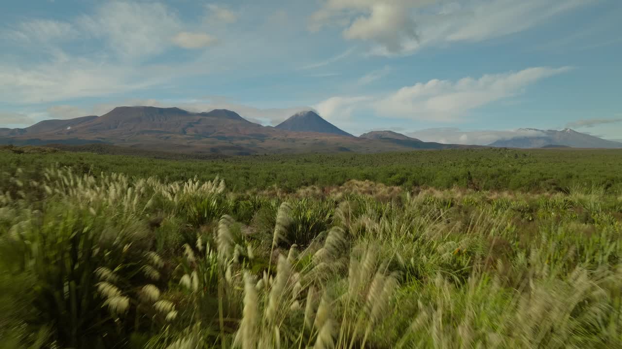 paisaje de matorrales nativos de nueva zelanda en las estribaciones del parque nacional de tongariro, aérea