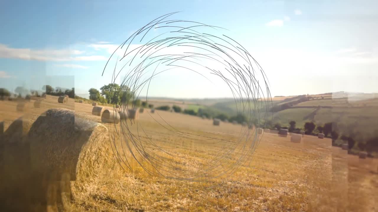 animación del paisaje sobre líneas móviles