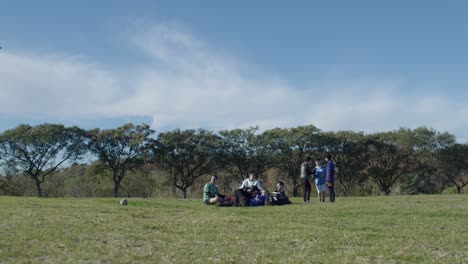 group of friends enjoying a soccer match on a sunny day in a large green park