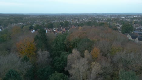 Retreating-aerial-drone-shot-over-the-trees-while-showing-the-neighborhood-in-the-outskirts-of-Thetford,-in-Breckland,-Norfolk,-east-of-London-in-United-Kingdom