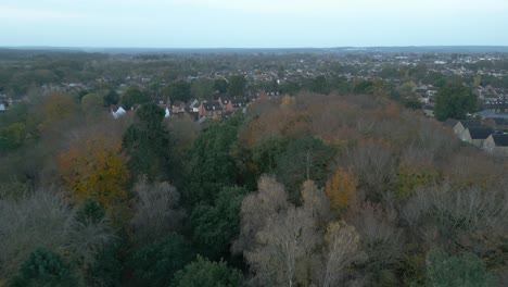 retreating aerial drone shot over the trees while showing the neighborhood in the outskirts of thetford, in breckland, norfolk, east of london in united kingdom