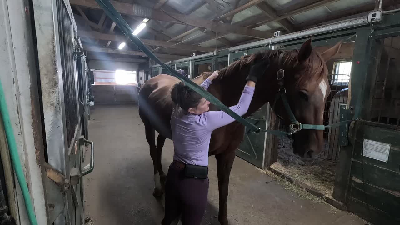 A rider brushes her horse's beautiful mane in a horse stable. Filmed in slow motion